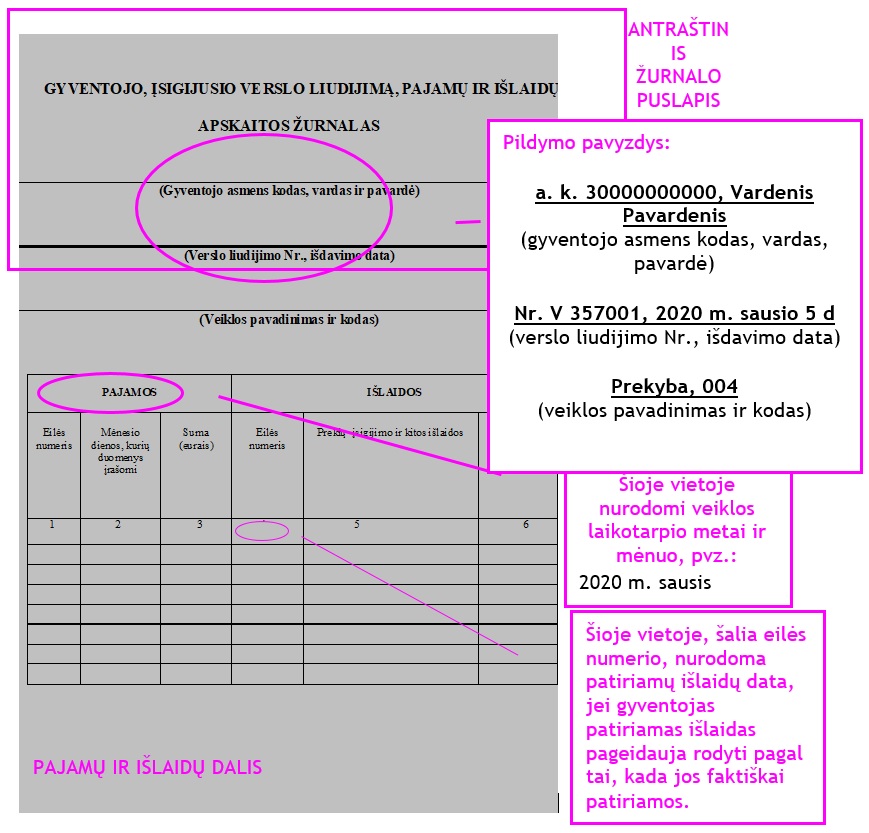 Finansinės apskaitos tvarkymas VMI