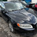 VOLVO3.jpg